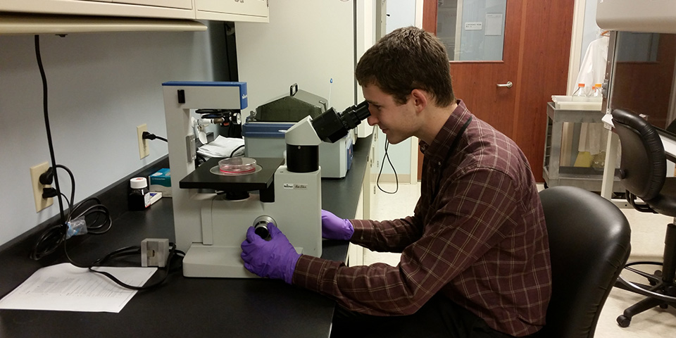 student looking through a microscope